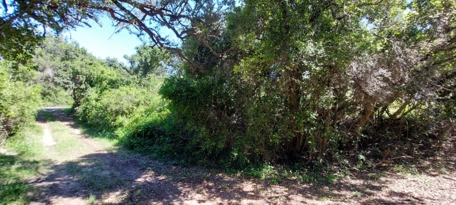 Commercial Property for Sale in Gamtoos Mouth Eastern Cape